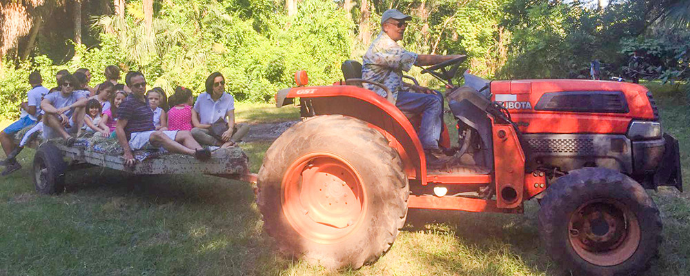 Hayride at the Miami-Dade Gala, with Marc Ellenby at the wheel